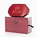 Kingston Grooming Company FIRM Brush- Boar Hair and Nylon- Premium Wave, Hair and Beard Care Brush with Travel Box