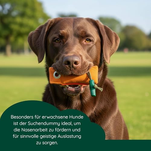 Romneys Suchen Dummy - Der Mini-Dummy für kleine Hunde 100g - Der Pocketdummy ist schwimmfähig und mit Wurfgriff (orange)
