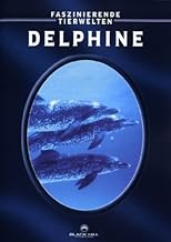 Delphine