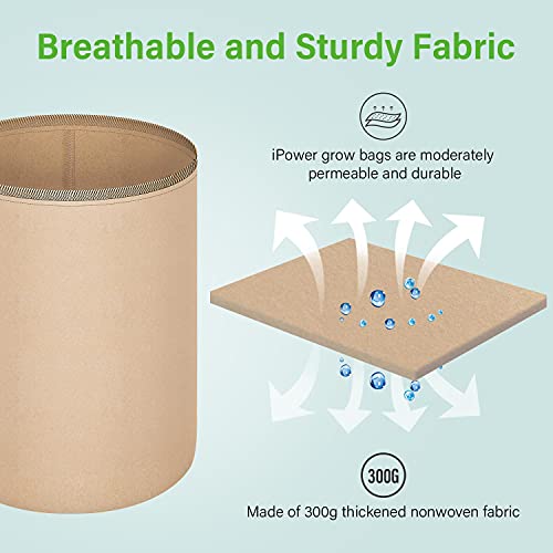 Ipower 5-Pack 3 Gallon Plant Grow Bags Thickened Nonwoven Aeration Fabric Pots Heavy Duty Durable Container, Strap Handles For Garden, Tan #TOP3