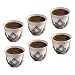 Set of 6 Arabic Turkish Greek Coffee Mirra Porcelain Cups with Holders Kava Gava (Silver)