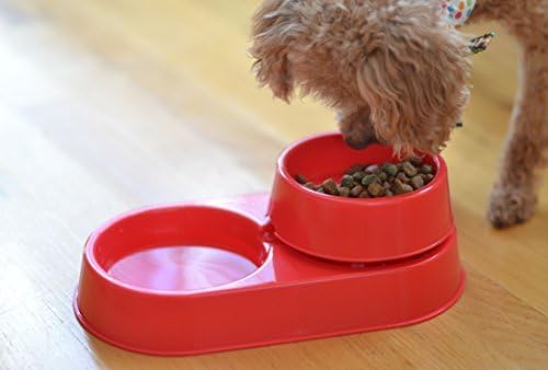The 3-in-1 Ant Free Pet Dish