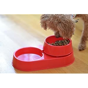 The 3-in-1 Ant Free Pet Dish