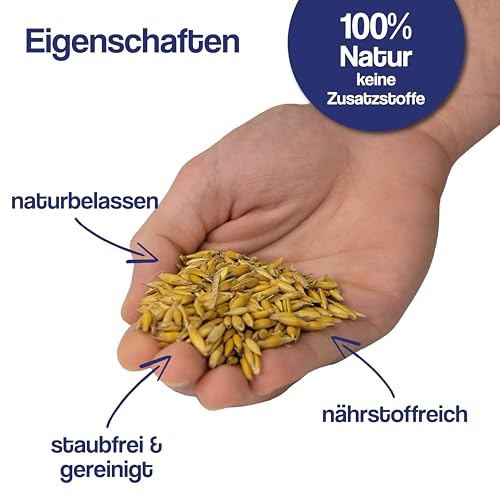 Gebrüder Goller Hafer Ganzes Korn 12,5kg - Futterhafer als Pferdefutter ungeschält für Pferd und Pony/Kraftfutter Pferd für mehr Energie - mehrfach gesiebt & staubarm - direkt vom Hof