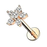 piercings bestellen Körperschmuck, Lippenpiercings, Labrets, Ohrpiercings und weitere ausgefallene Piercings für Männer und Frauen aus hochwertigen Materialien in coolen Designs, Motiven und Styles mit verschiedenen Größen und Farben findest Du bei Piercingfaktor