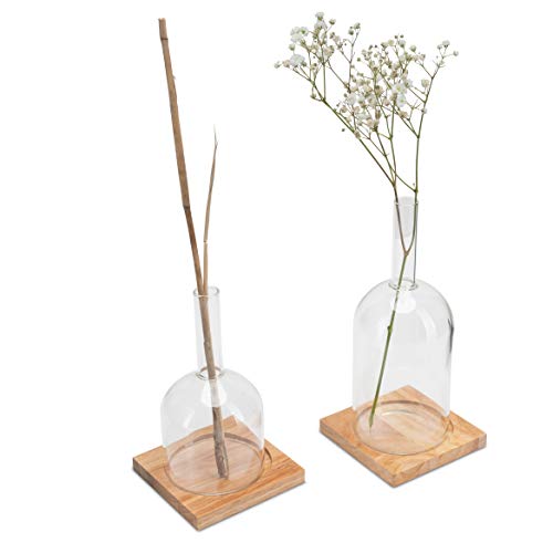 LUUK LIFESTYLE Flaschen Vase Set, Vase Deko Set, Glas Vase für eine Blume, Flaschen Stil, Tischvase, skandinavischens Design, Deko Glas, Vase für langstielige Blumen, Holzuntersetzer,