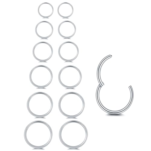 6/12Pcs 16G 18G 20G Nose Rings Hoops 316L Surgical Steel Nose Septum Lip Rings Tragus Cartilage Daith Rook Piercing Jewelry for Women 6mm 7mm 8mm 9mm 10mm 12mm