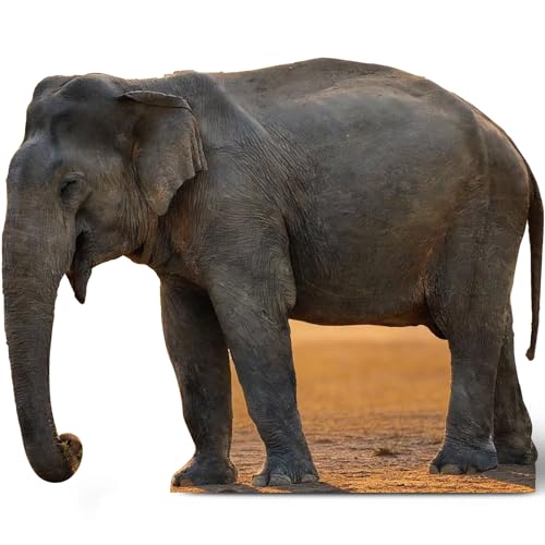 Image of Geelin 4.6 ft Elephant Cardboard Cutout Stand up Life Size Animal Stand up Safari Jungle Photo Booths Prop Cut Out for Zoo Safari Jungle Themed Birthday Party Decoration Supplies