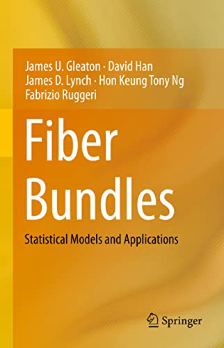 Fiber Bundles: Statistical Models and Applications (Springerbriefs in Statistics)