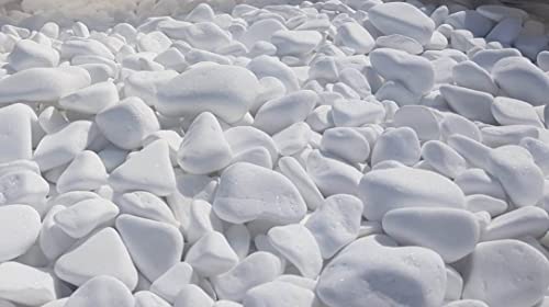 Generisch 20 kg Groß Steine zum Bemalen & Garten Kieselsteine Weiße Kies...