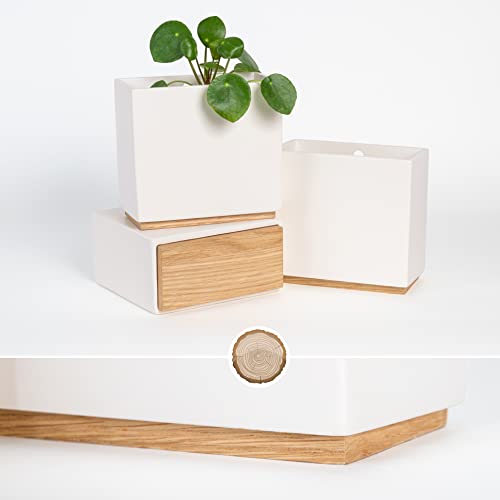 Miniatura 2 de Kazai. Jardineras De Pared -Alma- 3 Macetas Colgantes Modernas De Resina Set De Porta Plantas Para Plantas De Interior, Plantas Artificiales Y Más Crema
