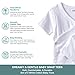 Spasilk Baby Cotton Side Snap Tee T Shirt for Newborns and Infants, 2 Pack