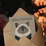 Zoom IMG-2 artery8 christmas card grey ragdoll Zoom IMG-2 artery8 christmas card grey ragdoll