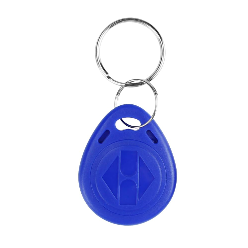 Lot de 100 porte-clés inductifs RFID 125 kHz - Peut lire et réécrire - NFC - Convient pour système de contrôle d'accès d'entrée de serrure de porte