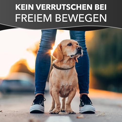 Rund & Weich - Zugstopp Hundehalsband Braun L - 55cm Lederhalsband mit Zugbegrenzung und Verstellbarer Schnalle, Dressurhalsung, Zugstopper, robust, Rindsleder