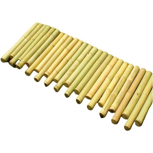 |ډB ptFX Op |_tFXpl K[fEŐی {K`EpoA peBIEpOgX vCoV[ (IWi̖ؐJ[̕A1[gA55/60Z`)