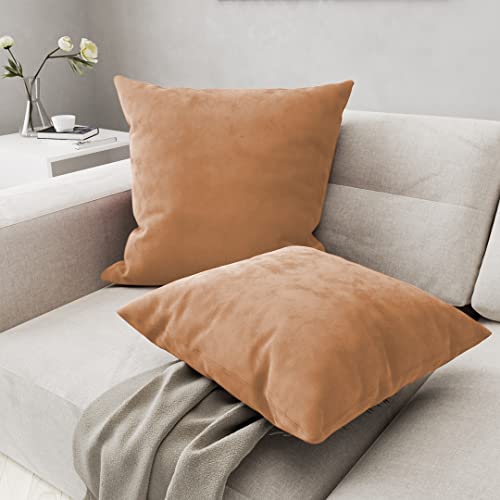 Seevo Velvet Throw Pillow Covers, Soft Decorative Square Cushion Pillows Covers Pack For Couch Sofa Chair Home Bedroom, Set Of 2-16 Inch X 16 Inch (Beige) #TOP4