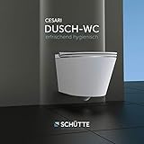 Schütte