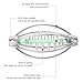 Fishing Feeder, Pack of 10 Stainless Steel Spring Fishing Feeder Bait Cage Holder Tackle Accessory with Pendant Bead Portable Fishing Tool Fishing Feeder Basket for (Extra Large