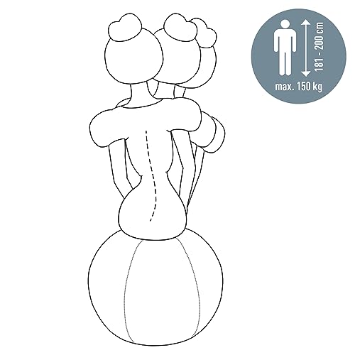 Leitz Ergo Active Sitting Ball with Stopper Function, Ergonomically Designed Desk Chair Alternative, 75cm Diameter, Includes Fabric Ball Cover, Hand Air Pump & 2 x Plugs, Velvet Grey, 65430089