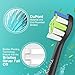 Trustnice Toothbrush Heads Compatible with Philips Sonicare Toothbrush, Replacement Brush Heads for EasyClean, Gum Health, HealthyWhite Brush Snap-On Handles, 8 Pack
