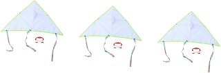 INOOMP 3pcs Kids Kite Kite Game Flying Kites for Kids DIY Painting Kites Kite for Kids Outdoor DIY Graffiti Kite Blank Kite Flying Kite