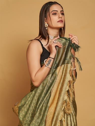 Image of Avantika Fashion Women's Woven Cotton Silk Art Silk Banarasi Saree With Blouse Piece
