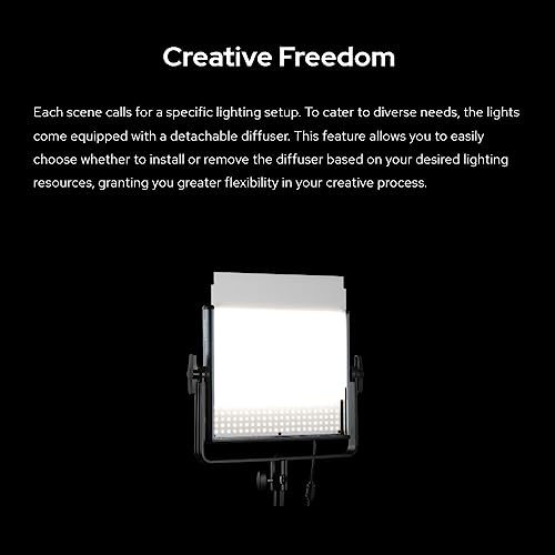Ficha técnica Godox LDX100R RGB LED Video Light 2500K-10000K Max 118W LED con soporte en U Panel de luz profesional para estudio YouTube Outdoor Video Lighting Kit CRI≥96 TLCI≥96 Built-in 14 FX Type 2.4G Wireless - Fernando Cortés