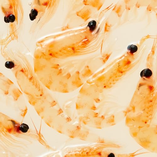 浜市［HAMAICHI] 常温 セカンドベイト 生オキアミ 3枚目