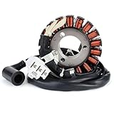 può eliminare il peso del rotore magnetico del volano, rendendo il motore leggero e veloce.
