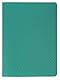 Exacompta 88209E Sichtmappe aus extra starkem Kunststoff mit 20 glatten Hüllen,40 Sichten, transluzent, für Format 10x15cm 1 Stück Zufallsfarbe