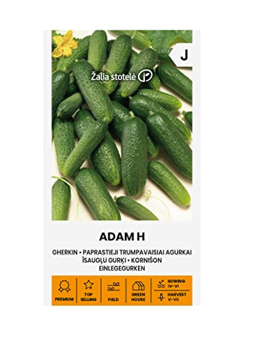 Zalia stotele | PICKLE - ADAM H Semillas | Semillas de Hortalizas | semillas de pepinillo | semillas de plantas | semillas de jardín | 1 paquete Cover