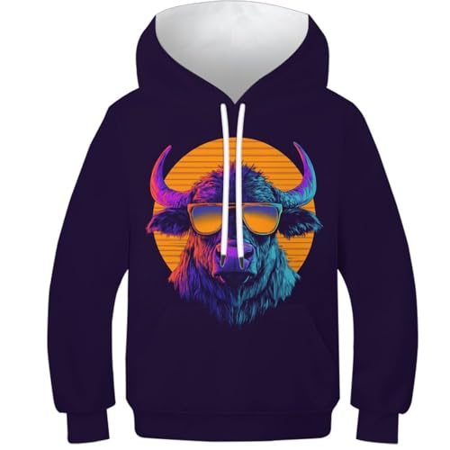 Sweat garçon 3D vivid graphique pull ado fille capuche imprimé