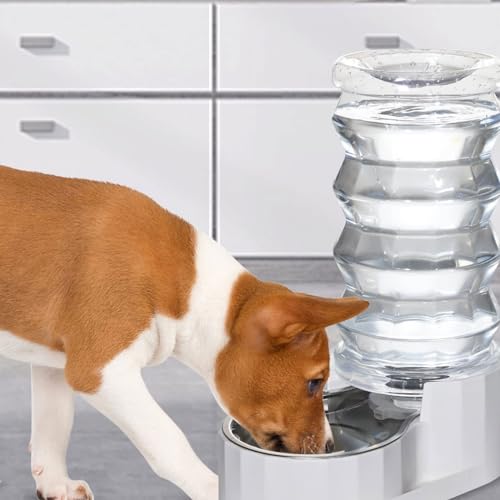 Filtro Esponjas para Fuente de Agua para Gatos 8 piezas miniatura 6