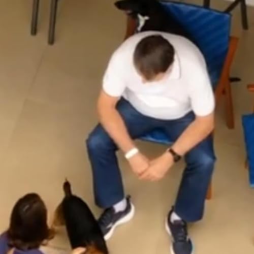 Painel JB 2&ordf; Edi&ccedil;&atilde;o 27/03/2026