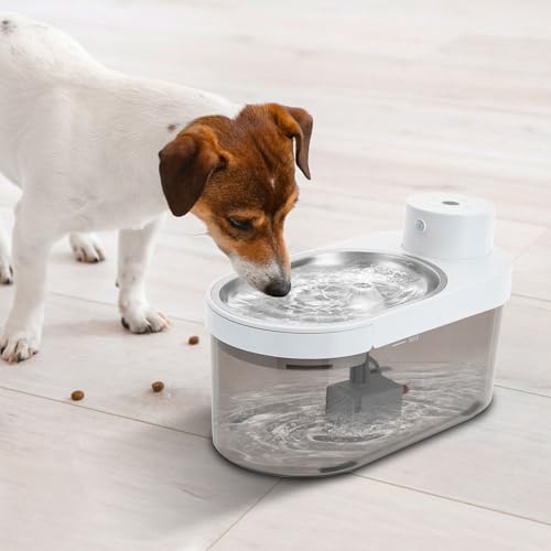 Dispensador de Agua para Gatos y Perros 4L miniatura 7