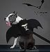 Legendog , Halloween , Pet Costume, Bat Wings for Dogs with Dog Leash and Pumpkin Bells