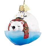 Photo Gallery hzyc ornamenti per albero di natale polare, ornamenti in vetro soffiato a mano, per albero, pattinaggio polare, decorazione natalizia per gli amanti degli animali, feste di vacanza, regalo per la casa Photo Gallery hzyc ornamenti per albero di natale polare, ornamenti in vetro soffiato a mano, per albero, pattinaggio polare, decorazione natalizia per gli amanti degli animali, feste di vacanza, regalo per la casa