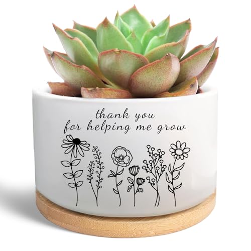 Thank You Gifts for Teacher from Students, Ceramic Plant Pot for ...