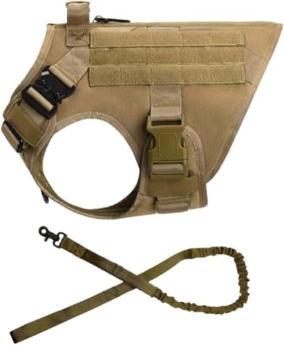 Barino pxXg xXg AEghA pUpi ybg (LTCY,}bhi[Vtj)