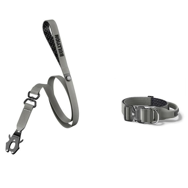 Bullyion ® Original Equipment All Action Swivel Lead 1.4 m & Heavy Duty Tactical Dog Collar with Handle - Softcell Padding – Lockforce Buckles (SHEFFIELD STEEL - WIDTH 5 cm - SIZE LARGE)