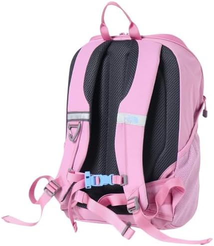 THE NORTH FACE ピンクリュック Amazon.co.jp: (ザ・ノース・フェイス) The North Face