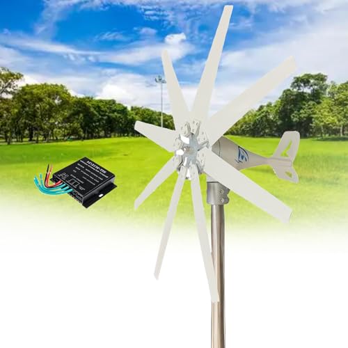 Éolienne verticale pour maison et site isolé avec générateur 14000W et régulateur