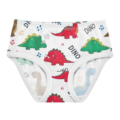 Fancy Toddlers Underwear Floral 2t Cotton Cute Panties Girl Colorful Cartoon Dinosaurs White Kids Undies Briefs