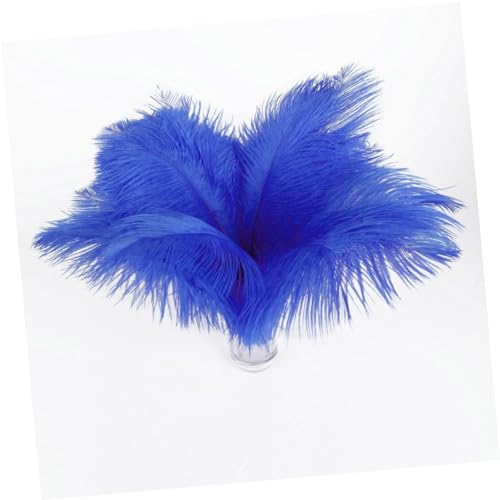 SHINEOFI 20 Piezas disfraz carnaval disfraces carnaval decoracion boda decoración fiesta decoração casa decoraciones de avestruz de avestruz negras natural Decorar