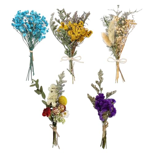 EYVRPAU 5 5 Pcs Ramilletes Flores Secas Mini Flores Secas para Manualidades Flores Naturales Secas Decoración Secas Flores Preservadas Resina Flores Secas Prensadas Flor Seca para Scrapbooking