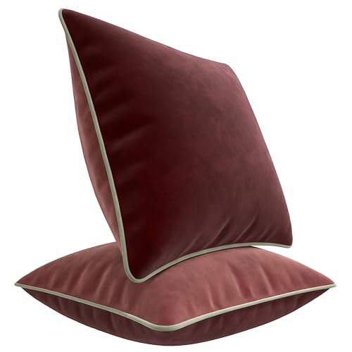 Blau Marité Set de 2 Fundas Cojín Terciopelo. Fundas Cojines Decorativos. Funda Cojin Sofa Terciopelo. Cojin Cama. Cojines salón. Relleno no Incluido. (Berenjena, 45x45cm)