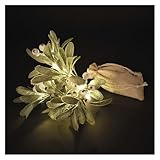 EMOS - LED-Mistelzweig - Mistelstrauch mit 14 LEDs, Warmweiß - 6/18h Timer, batteriebetrieben (2x AA), 0,25m Kabellänge, inkl. Jutesack - Lebensdauer 10000 Stunden - für Innenbereich - Grün/Weiß