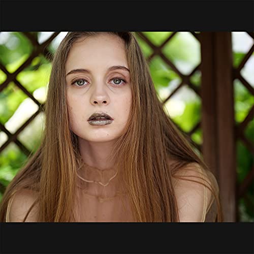 Panasonic Lumix Micro Four Thirds Camera Lens, Leica Dg Vario-Summilux 25-50Mm F1.7 Asph, Stepless Aperture, Video Performance, H-X2550 #TOP7