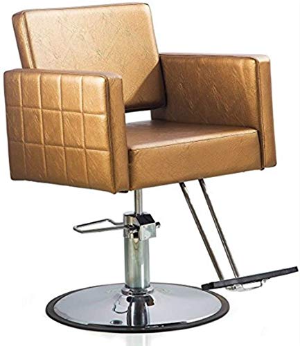 Salon Style Gold Hair Salon Styling Barbering Chair Prime Salon Equipment